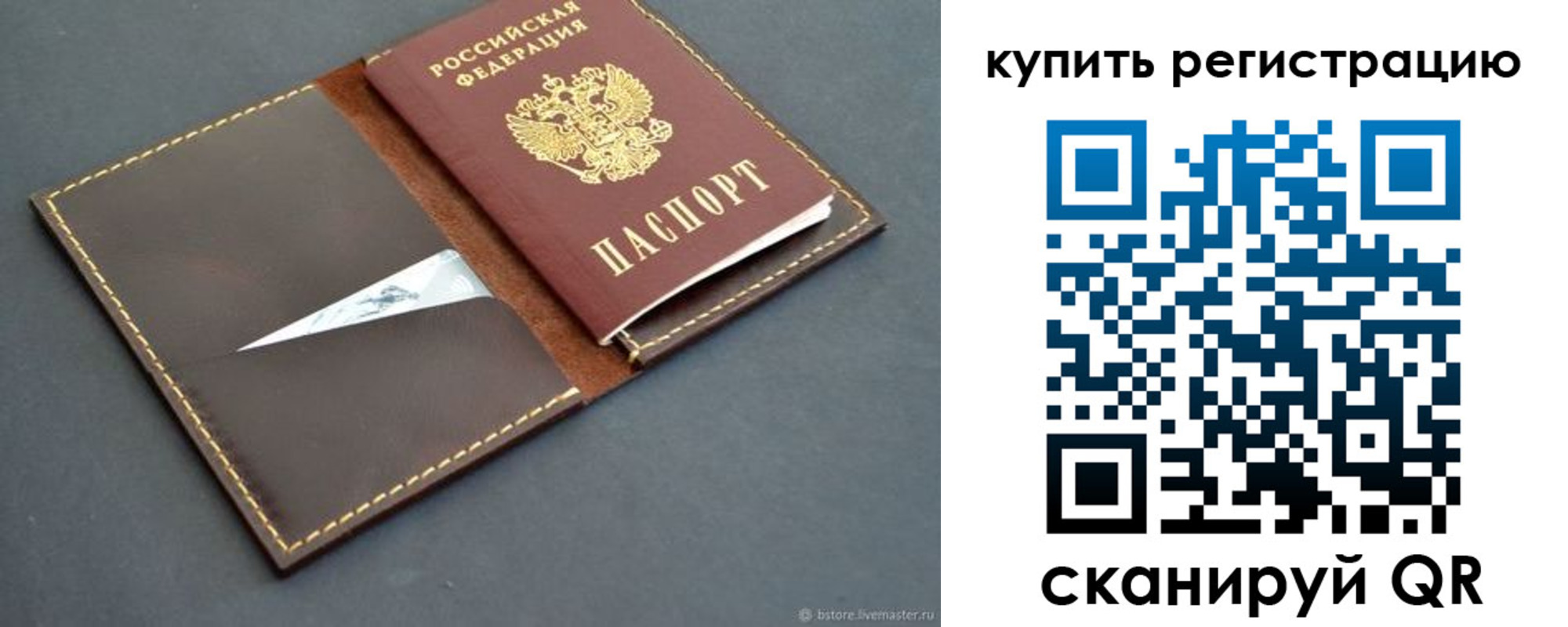 прописка поиск в Светлогорске